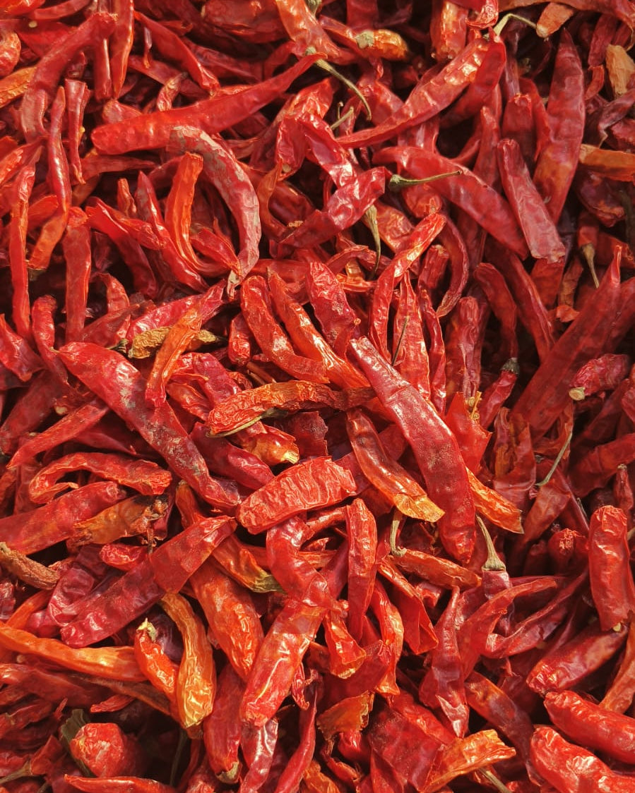Close-up of dried red chili peppers